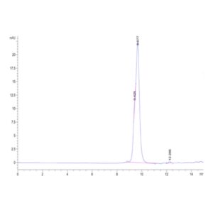 Cynomolgus ADAM9 Protein, ADM-CM109 Ushelf