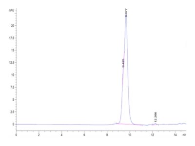 Cynomolgus ADAM9 Protein, ADM-CM109 Ushelf