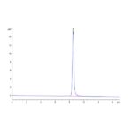 Cynomolgus AFP Protein, AFP-CM101