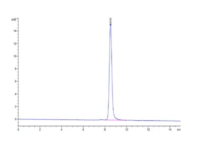 Cynomolgus AFP Protein, AFP-CM101 Ushelf