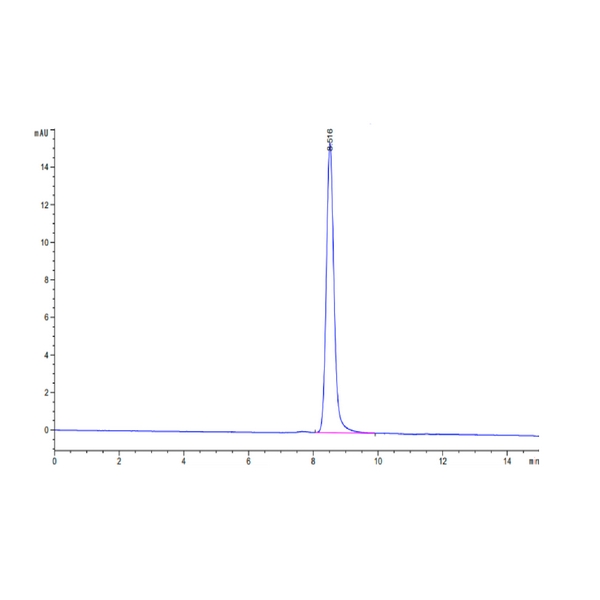 Cynomolgus AFP Protein, AFP-CM101 Cynomolgus AFP Protein, AFP-CM101 Ushelf