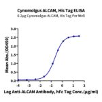 Cynomolgus ALCAMCD166 Protein , ALC-CM101