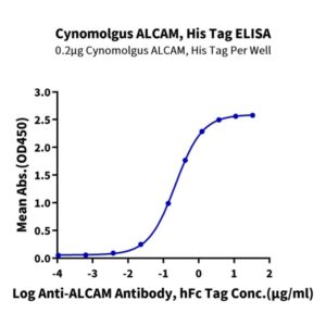 Cynomolgus ALCAM/CD166 Protein , ALC-CM101 Ushelf
