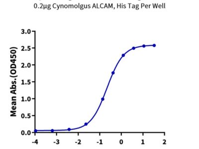 Cynomolgus ALCAM/CD166 Protein , ALC-CM101 Ushelf