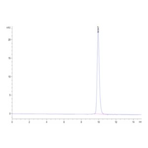 Cynomolgus ALK-1/ACVRL1 Protein , ALK-CM101 Ushelf