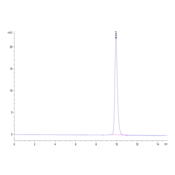 Cynomolgus ALK-1ACVRL1 Protein , ALK-CM101 Cynomolgus ALK-1/ACVRL1 Protein , ALK-CM101 Ushelf