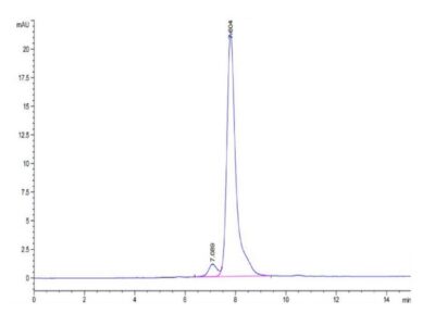 Cynomolgus AMIGO2 Protein , AMI-CM102 Ushelf