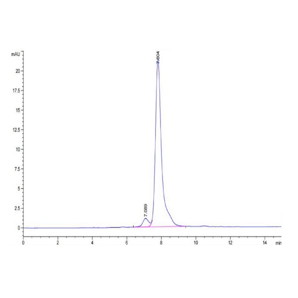 Cynomolgus AMIGO2 Protein , AMI-CM102 Ushelf