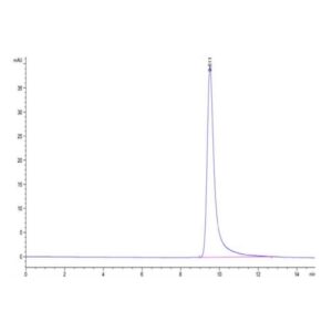 Cynomolgus ANGPTL4/Angiopoietin-like 4 Protein , ANG-CM1L4 Ushelf
