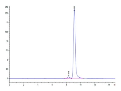 Cynomolgus ANXA1 Protein , ANX-CE1A1 Ushelf