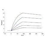 Cynomolgus AXL Protein , AXL-CM102