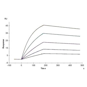 Cynomolgus AXL Protein , AXL-CM102 Ushelf