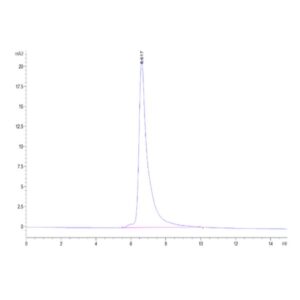 Cynomolgus Adiponectin/Acrp30 Protein, ADI-CM101 Ushelf