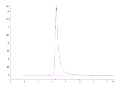 Cynomolgus Adiponectin/Acrp30 Protein, ADI-CM101 Ushelf