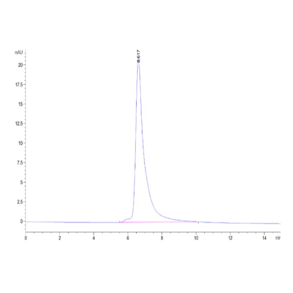 Cynomolgus AdiponectinAcrp30 Protein, ADI-CM101 Cynomolgus Adiponectin/Acrp30 Protein, ADI-CM101 Ushelf