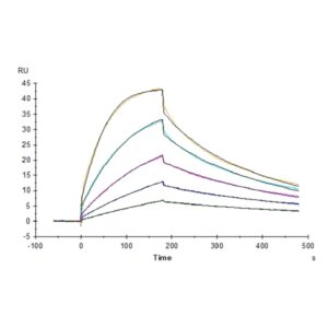 Cynomolgus B7-1/CD80 Protein , B71-CM180 Ushelf