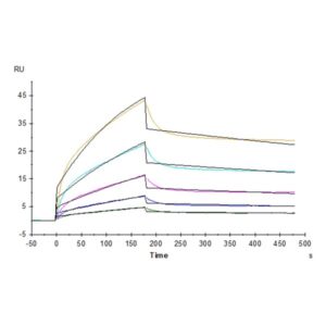 Cynomolgus B7-H2/ICOSLG Protein , BH7-CM172 Ushelf