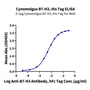 Cynomolgus B7-H3 (4Ig) /CD276 Protein , BH7-CM173 Ushelf