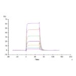 Cynomolgus B7-H6NCR3LG1 Protein , BH7-CM176