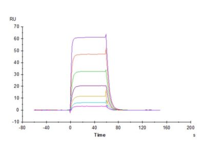 Cynomolgus B7-H6/NCR3LG1 Protein , BH7-CM176 Ushelf