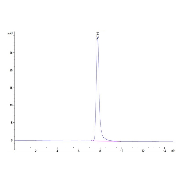 Cynomolgus BCAM Protein , BCA-CM10M Ushelf