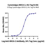 Cynomolgus BDCA-2 Protein , BCA-CM102