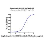 Cynomolgus BDCA-2 Protein , BCA-CM202