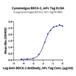 Cynomolgus BDCA-2 Protein , BCA-CM302