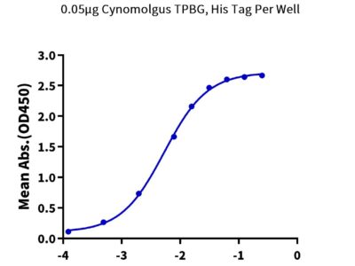 Cynomolgus TPBG/5T4 Protein, 5T4-CM101 Ushelf