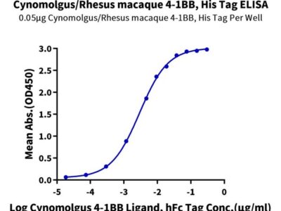 Cynomolgus/Rhesus macaque 4-1BB/TNFRSF9 Protein , BB4-CM141 Ushelf