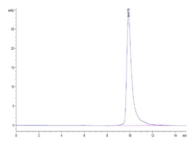 Cynomolgus/Rhesus macaque B2M/beta 2-Microglobulin Protein , B2M-CM101 Ushelf