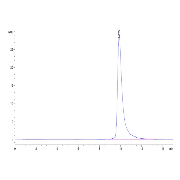 CynomolgusRhesus macaque B2Mbeta 2-Microglobulin Protein , B2M-CM101 Cynomolgus/Rhesus macaque B2M/beta 2-Microglobulin Protein , B2M-CM101 Ushelf