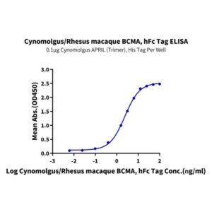 Cynomolgus/Rhesus macaque BCMA/TNFRSF17 Protein , BCM-CM217 Ushelf