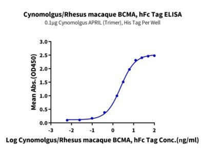 Cynomolgus/Rhesus macaque BCMA/TNFRSF17 Protein , BCM-CM217 Ushelf