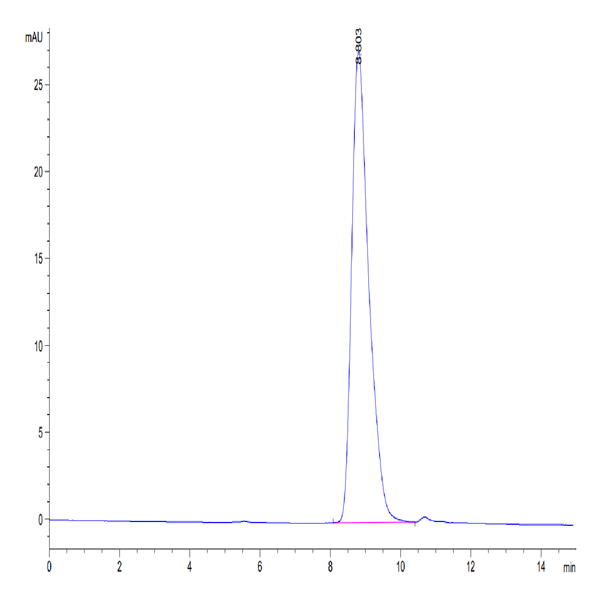 Cynomolgus DNAM-1/CD226 Protein (DAM-CM101)