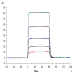 Human DNAM-1/CD226 Protein (DAM-HM101)