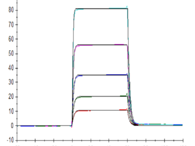 Human DNAM-1/CD226 Protein (DAM-HM101)