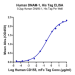 Human DNAM-1/CD226 Protein (DAM-HM101)