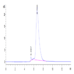 Human DNAM-1/CD226 Protein (DAM-HM101)