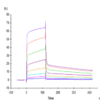 Human DNAM-1/CD226 Protein (DAM-HM201)