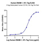 Human DNAM-1/CD226 Protein (DAM-HM201)