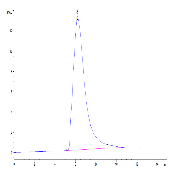 Human DNAM-1/CD226 Protein (DAM-HM201)