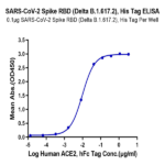 SARS-COV-2 Spike RBD (Delta B.1.617.2) Protein (DB1-VM1BD)