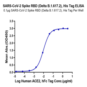 SARS-COV-2 Spike RBD (Delta B.1.617.2) Protein (DB1-VM1BD)