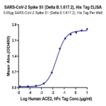 SARS-CoV-2 Spike S1 (Delta B.1.617.2) Protein (DB1-VM1S1)
