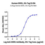 Human DDR1 Protein (DDR-HM1R1)