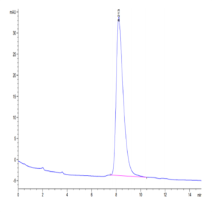 Human DDR2 Protein (DDR-HM1R2)