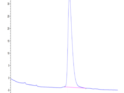 Human DDR2 Protein (DDR-HM1R2)