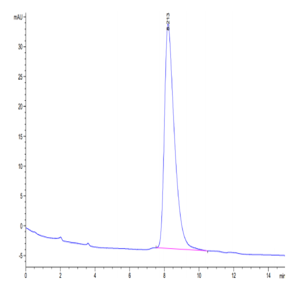 Human DDR2 Protein (DDR-HM1R2) Human DDR2 Protein (DDR-HM1R2)