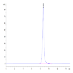 Mouse DDR1 Protein (DDR-MM1R1)